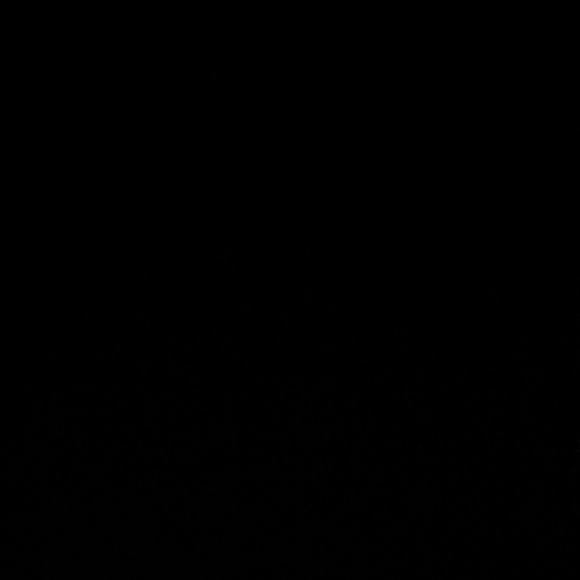 Meet your Posher, Monica - Picture 1 of 1